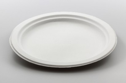 Talíř  TŘTINA 225/19,6mm bílý 