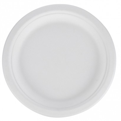 Talíř TŘTINA 258/20,5mm bílý