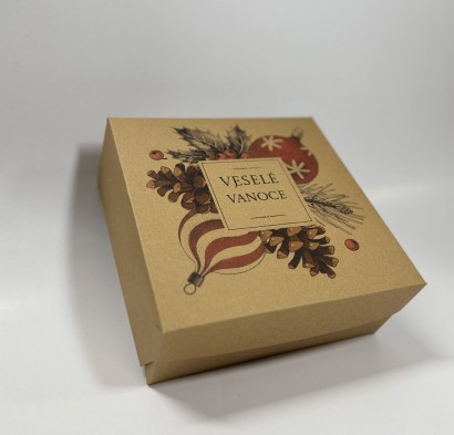 Krabice dortová PAP 22x22/9cm kraft BAŇKY 10ks